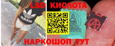 ПСИЛОЦИБИНОВЫЕ ГРИБЫ Пенза