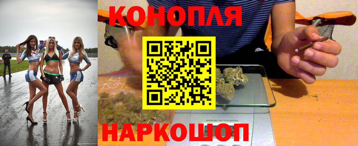 Серов  Бошки Шишки Ganja  Шишки марихуана планчик  Вход с VPN  Каннабис конопля  Канабис семена 